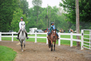 Thumbnail DSC_0023.JPG 