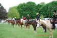 Thumbnail DSC_0379.JPG 