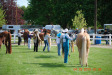 Thumbnail DSC_0839.JPG 