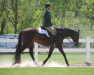 Thumbnail DSC_0979.JPG 