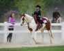 Thumbnail Image1.jpg 