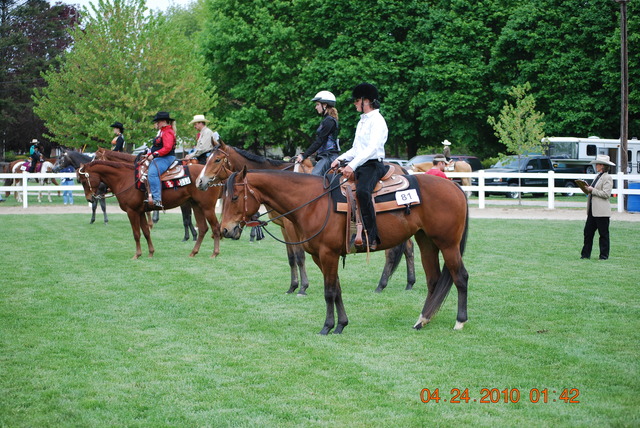DSC_0151.JPG 